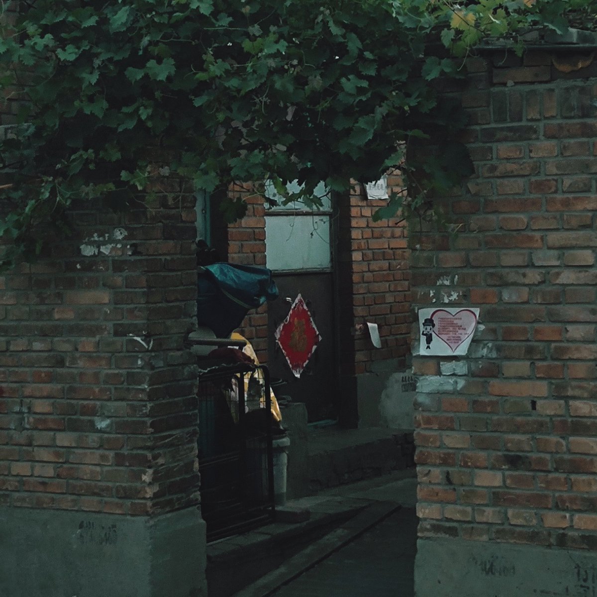 还有什么能够盛开，你知道我一直很乖
我们的过去是一片稻田，还有什么值得期待
蒲公英和炊烟都在等你
你的孩子一直很乖 https://t.co/DobO2Dl12i