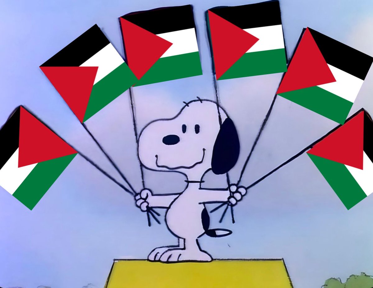 archive appreciator tweet media