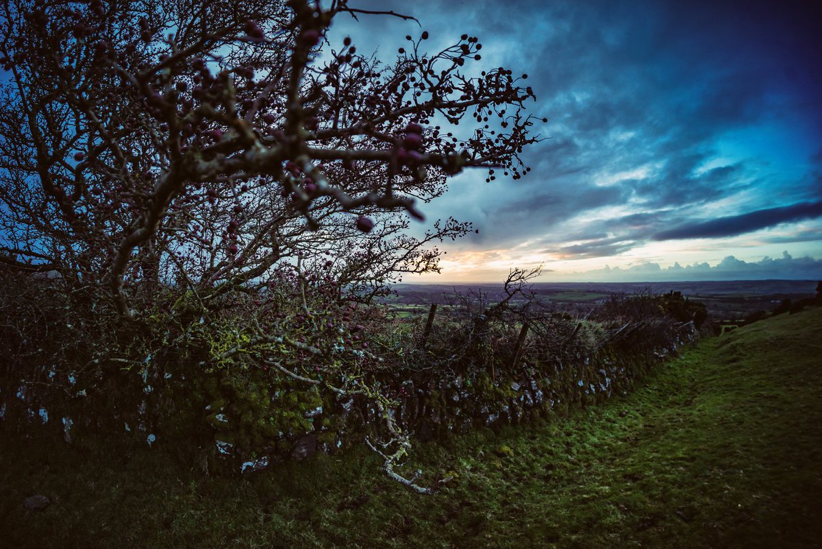 GlavindStrachan's tweet photo. #Hawthorn and #granite #wall at #sunset 😍
Experimenting with #longexposures last night near #TorWood by #LakeDown on the edges of #SourtonTors on #Dartmoor 📷 #dartmoorphotography #dartmoorphotographer https://t.co/uvMULM2PFy
