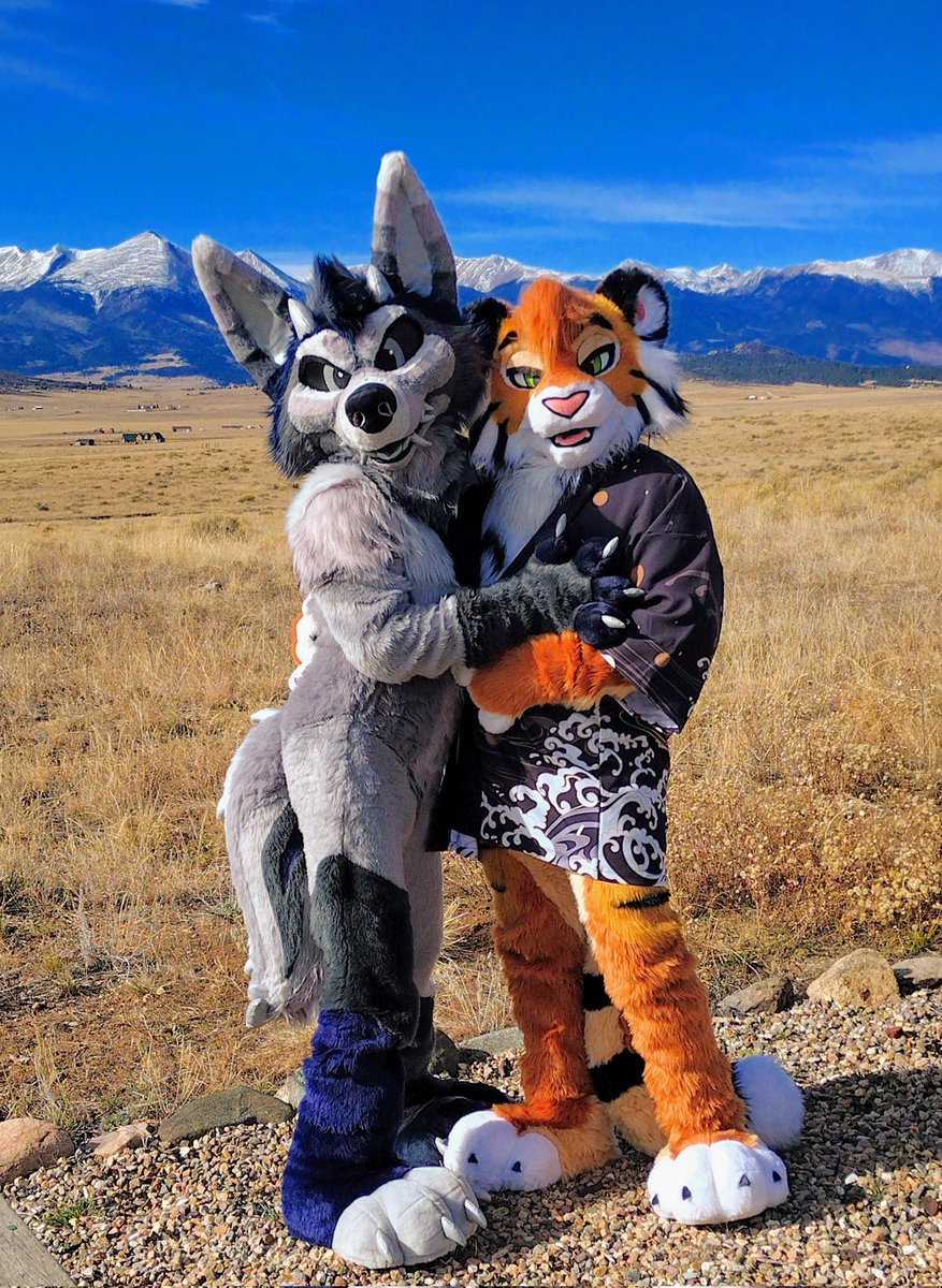 Riverwulf's tweet photo. Oh I found a tiger in the wild 🏔️🐯 https://t.co/07mC8v1Kof