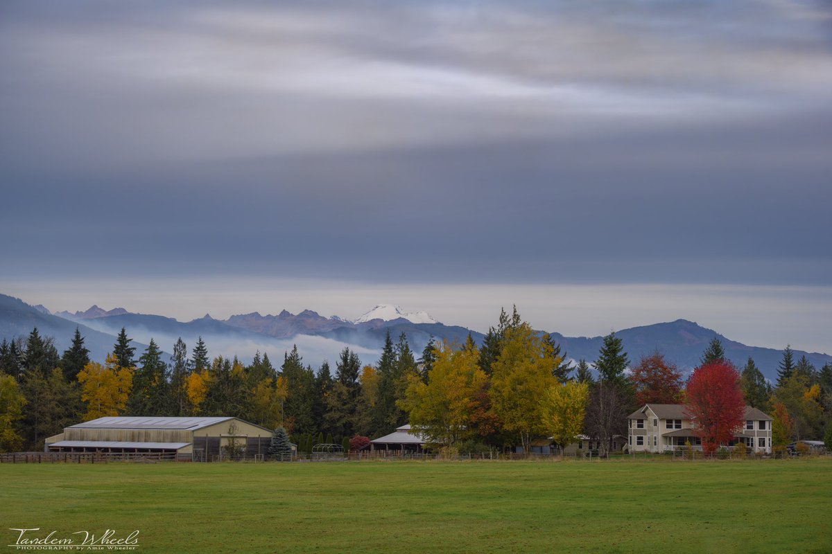 Mount Baker (Kulshan) from South Skagit with beautiful fall colors in the foreground. 🍁

#wawx #sonorthwest #pnw #Autumn #autumnleaves #magicskagit #ThePhoroHour #MountBaker #Kulshan