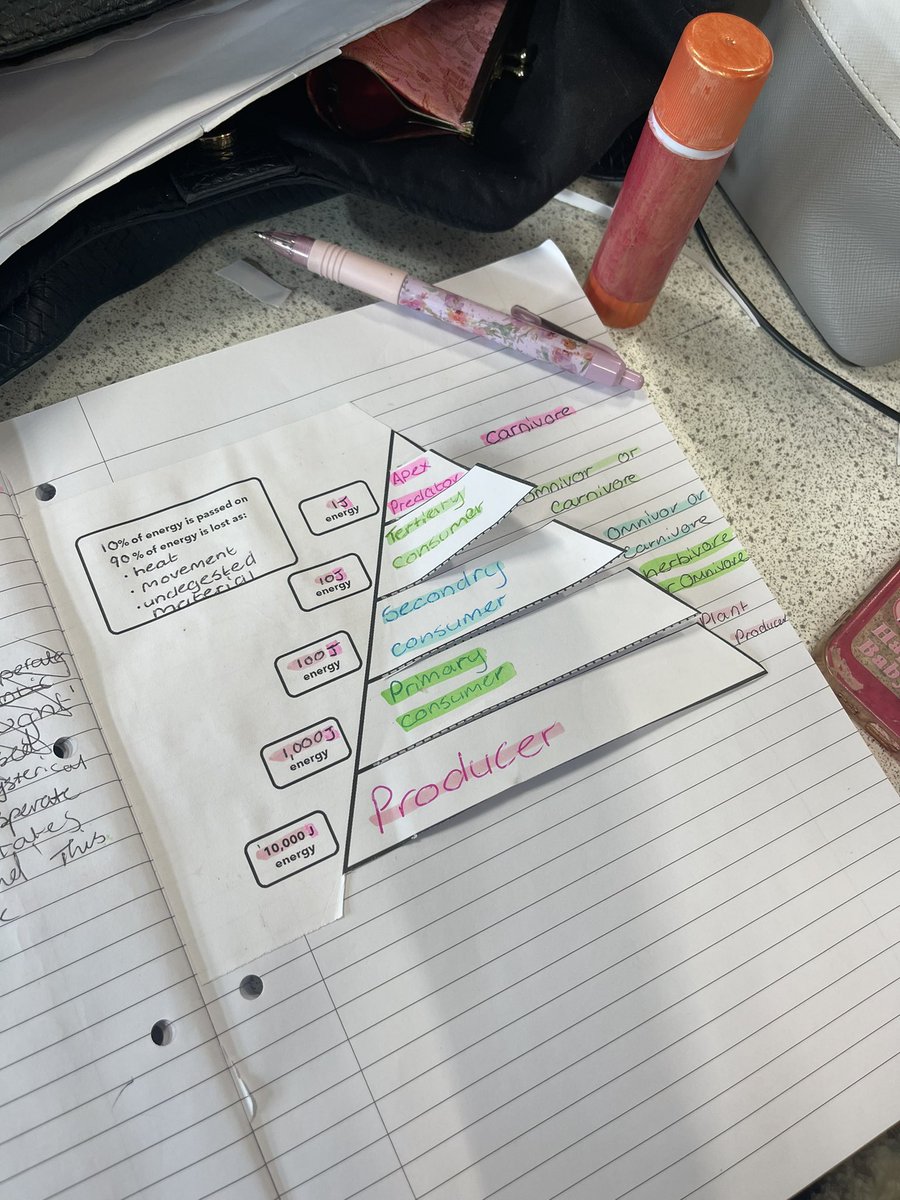 Miss Anderson’s Bio tweet media