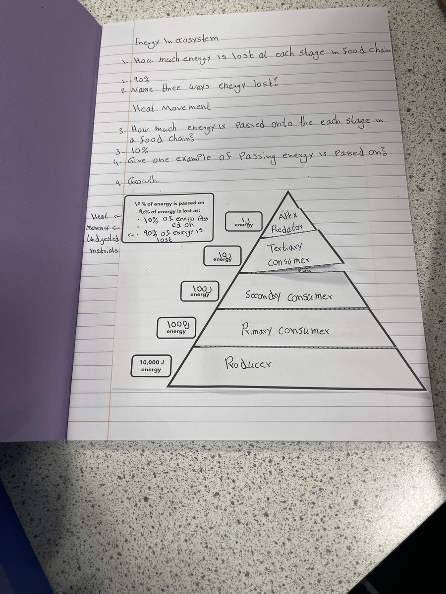 Miss Anderson’s Bio tweet media