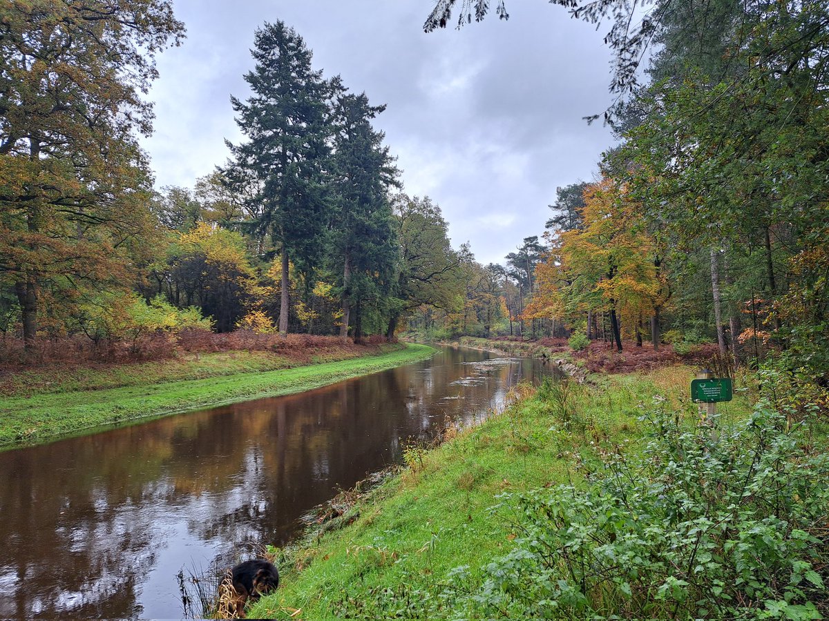 AdviesburoGMC's tweet photo. 't Zand is nu onderdeel van #Lankheet maar behoorde vroeger tot Heerlijkheid Mallum. Prachtige natuur rondom het jachthuis Lillesjoen. Langs de Buurserbeek en de Assinkbrug weer terug gelopen. #Haaksbergen #landgoed #Rijksmonument. https://t.co/obnMU6JpPO
