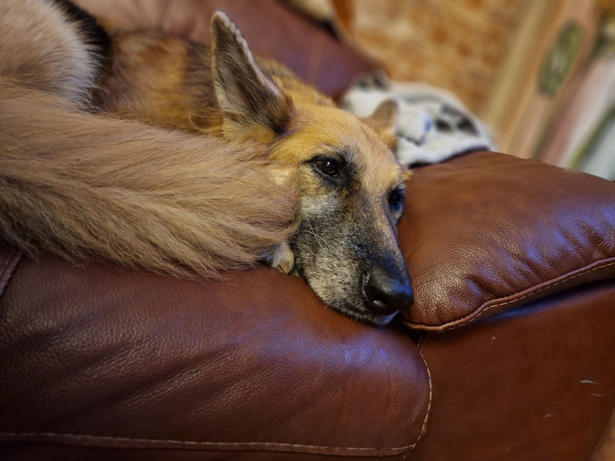 The princess aka #Daisy