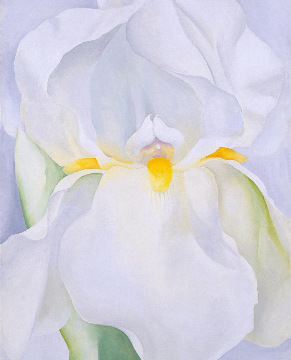 Davediscoballs's tweet image. #georgiaokeefe #art