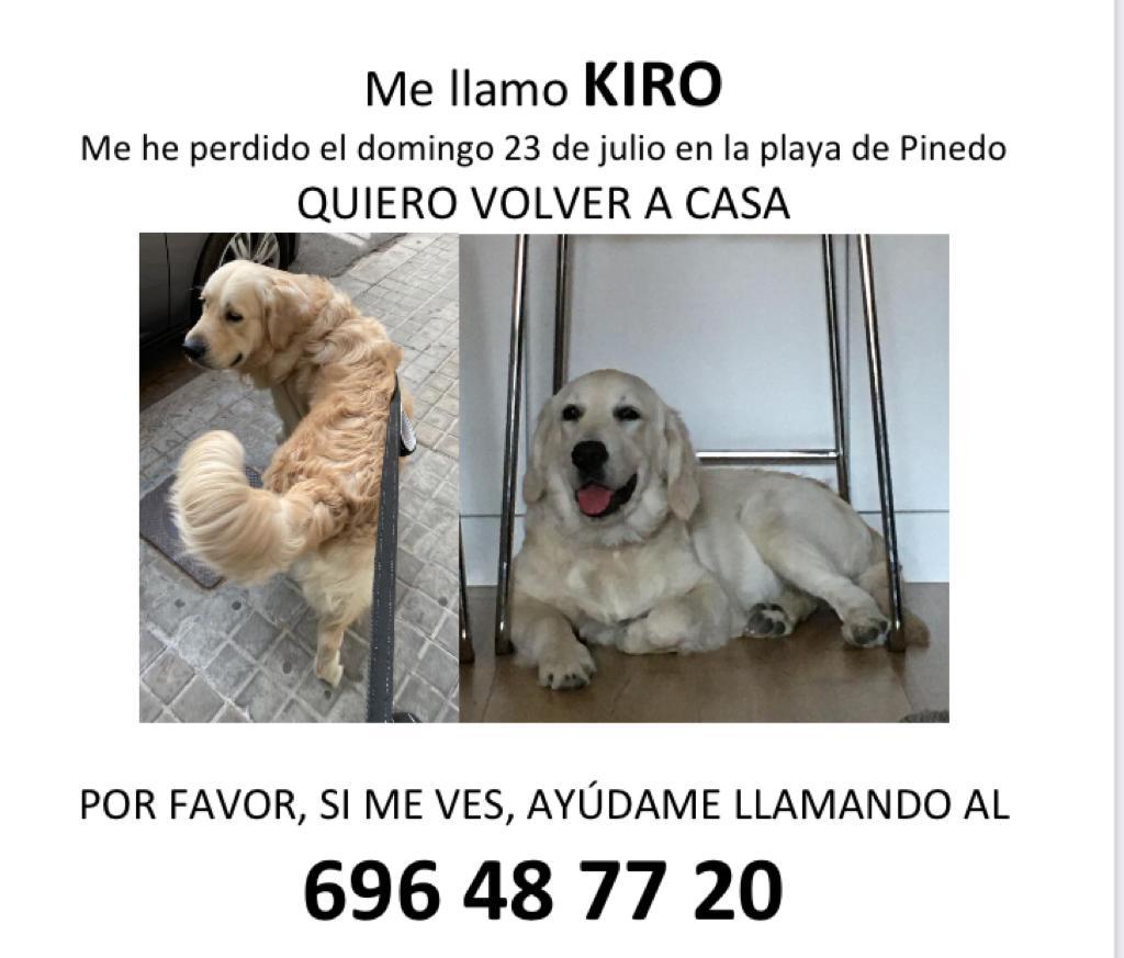 Por favor, ayúdanos a encontrar a nuestro perro, RT por toda España.