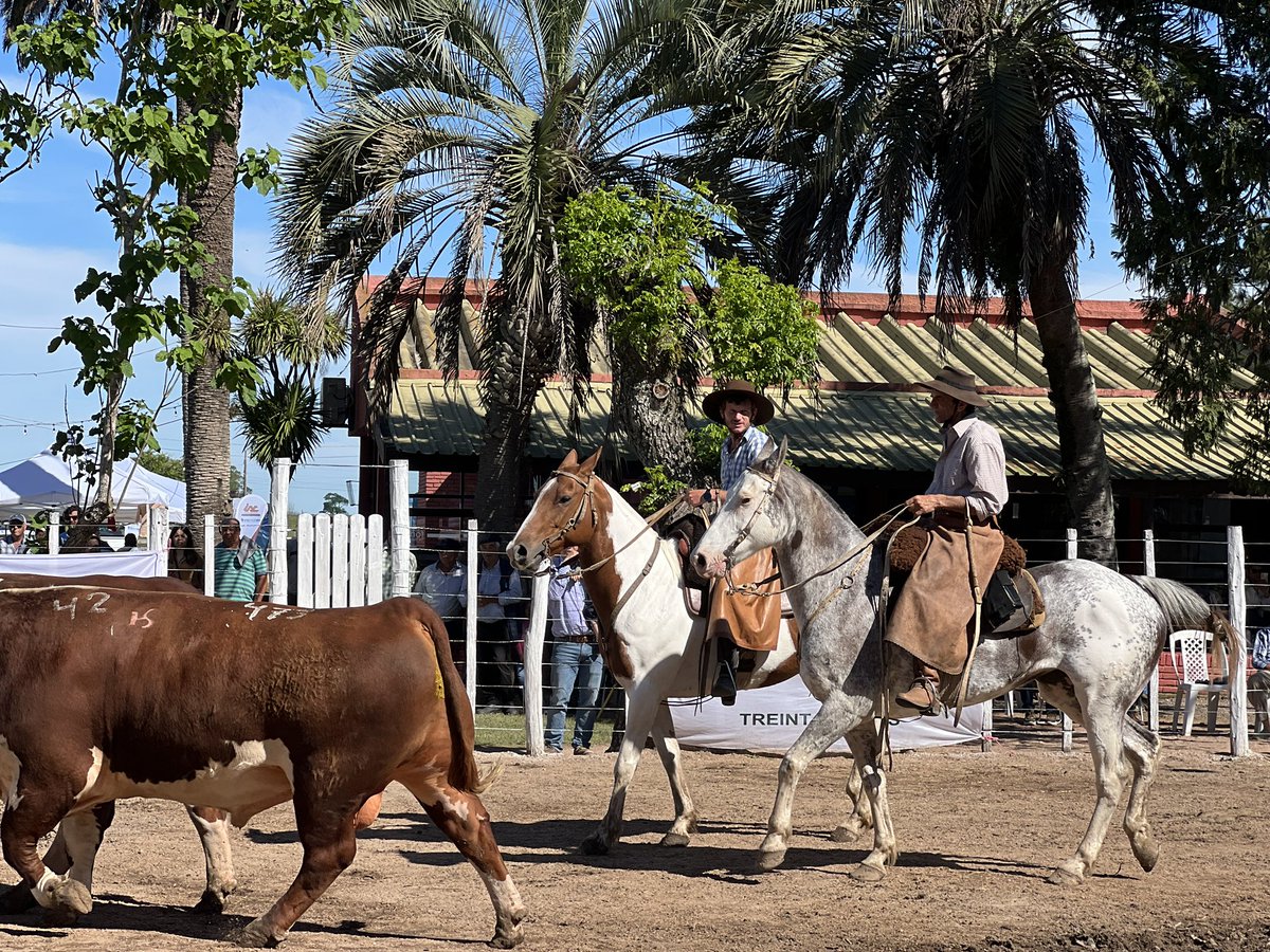 El ministro destacó la calidad de la muestra agradeciendo el apoyo esfuerzo de todos los productores  y dijo esperar un mejor panorama  a corto y mediano plazo esperando buenas noticias del próximo viaje que <a href="/LuisLacallePou/">Luis Lacalle Pou</a> realizará a China.