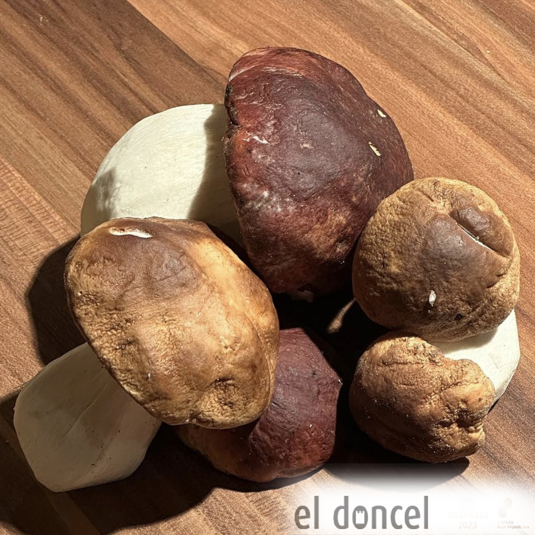 eldoncel_'s tweet photo. Llega la temporada de setas de otoño a El Doncel Hotel-Restaurante Sigüenza 
¡Un magnífico producto de nuestra tierra maravillosa!
#estrellamichelin⭐️ #guiarepsol☀️☀️ #gastronomia#gastronomy #setasyhongos #mushrooms#productodetemporada #seasonalproducts #Guadalajara https://t.co/DArdTXFrdq