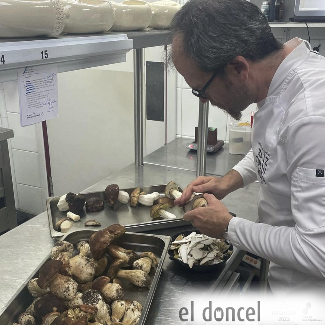 eldoncel_'s tweet photo. Llega la temporada de setas de otoño a El Doncel Hotel-Restaurante Sigüenza 
¡Un magnífico producto de nuestra tierra maravillosa!
#estrellamichelin⭐️ #guiarepsol☀️☀️ #gastronomia#gastronomy #setasyhongos #mushrooms#productodetemporada #seasonalproducts #Guadalajara https://t.co/DArdTXFrdq