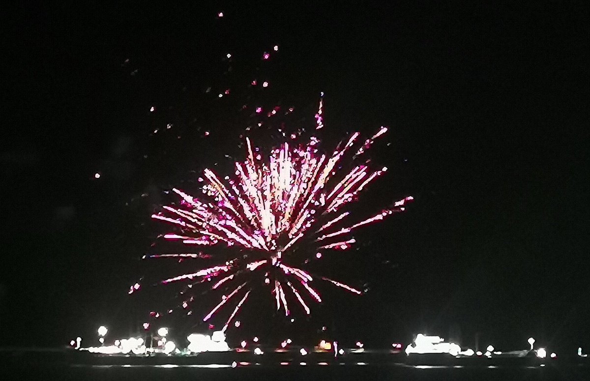 MissAWaters1's tweet image. The only fireworks that should be allowed are organised events in my opinion! 🎆