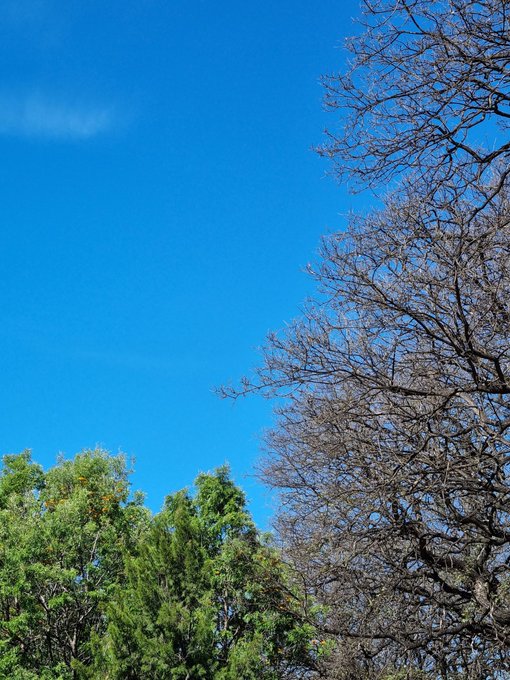 Bello domingo https://t.co/JqC3FefMiY<a href="/tag/xhamster"class="tags"><span>#xhamster</span></a>