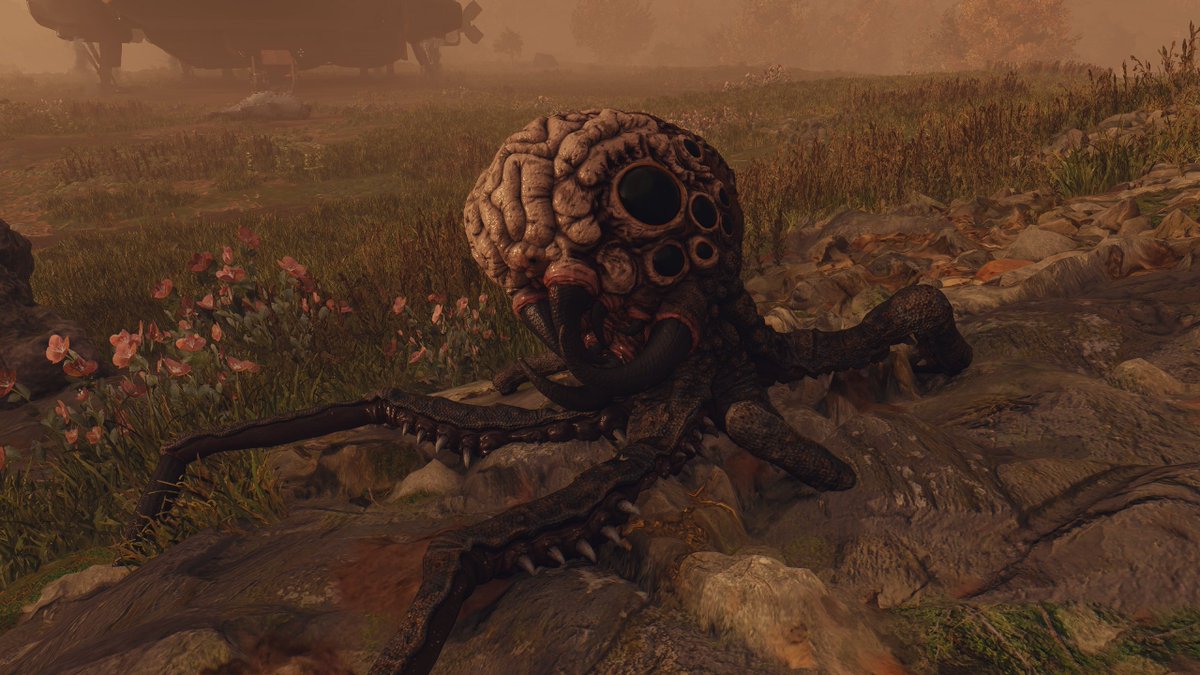 PikselDude's tweet photo. Exploring some other planets and hunting some wired creatures :) #starfield #starfieldgame #explorer https://t.co/wNDppnxpYu