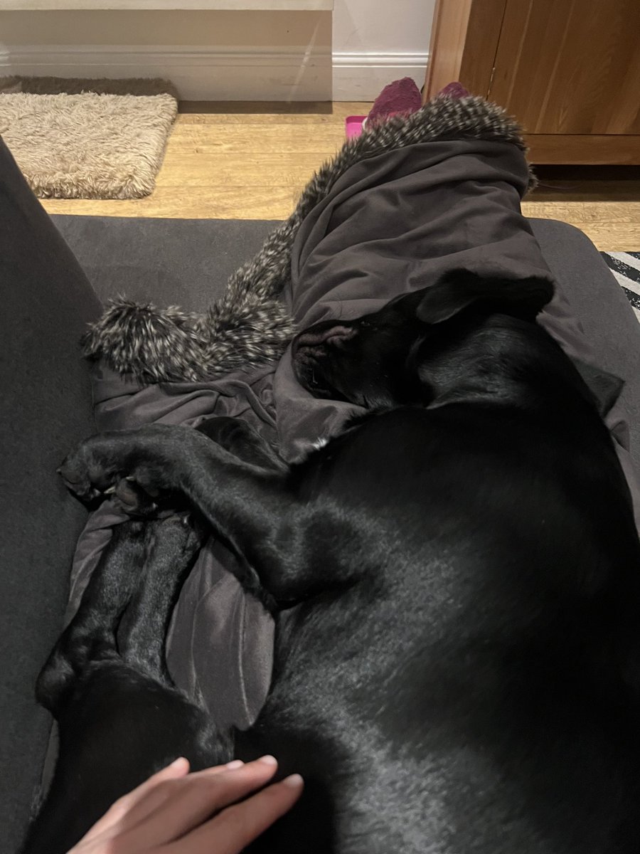 Can't move. Someone please bring snacks. @DeeClared #sleepingdogs