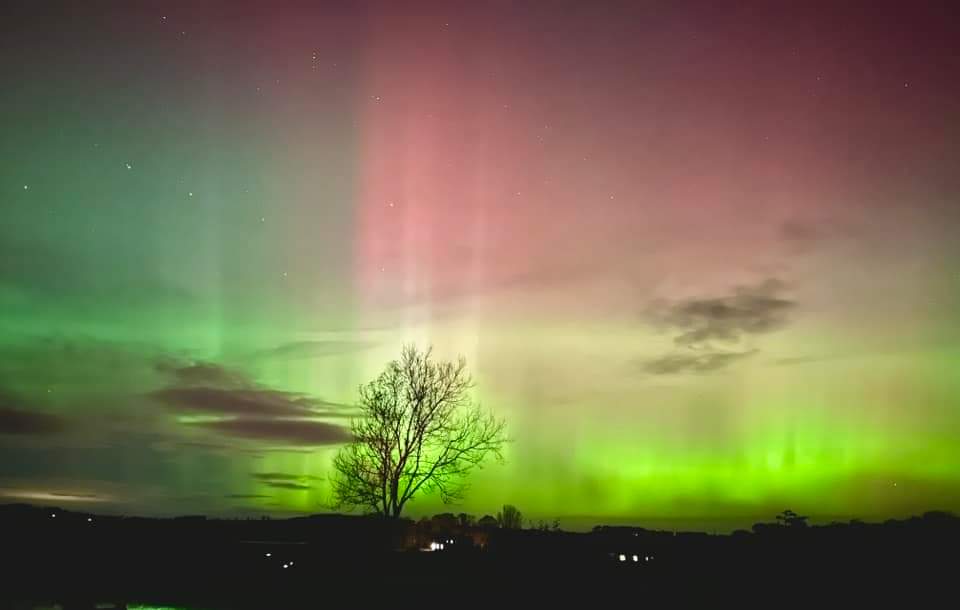 wolfPris's tweet photo. Stasera l'aurora sta esagerando: kp 7, forte tempesta solare in collisione con la nostra atmosfera e avvistamenti in sud Europa come se piovessero (elettroni).

Se siete in un luogo con poco inquinamento luminoso, guardate verso nord!

📸 dei rispettivi proprietari 
1.🇬🇧2.🇩🇪3. 🇮🇹 https://t.co/7erkG9UKIM