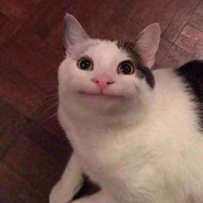 sylvie’s literally just a walking meme