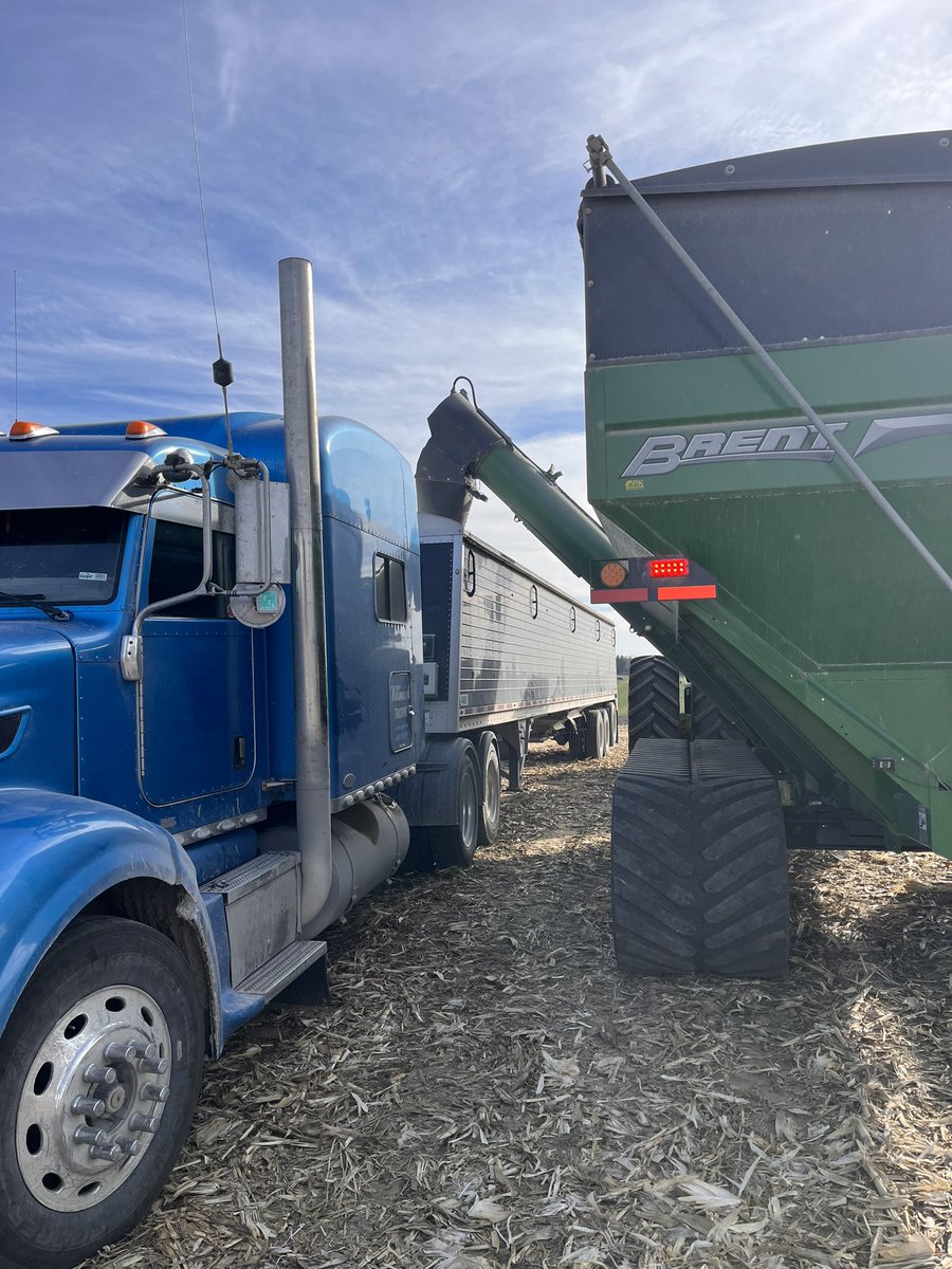 Jayson Willimack tweet media