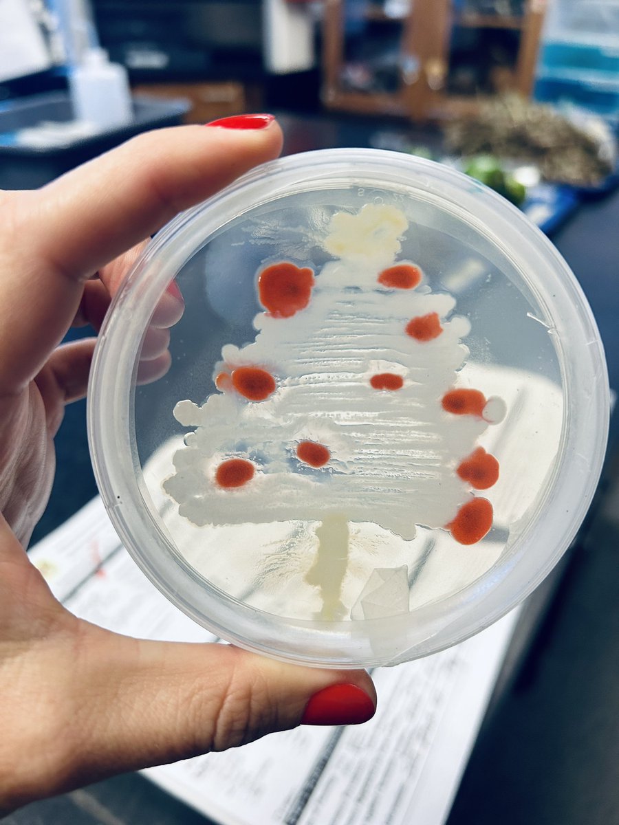 Tropical Plant Clinic & Research Lab (@clinicplant) on Twitter photo Seems the holidays spirit arrived early to the lab this year 🎄🎅 <a href="/labmanagershel/">Shelby Weber</a> <a href="/UFTropical/">UF IFAS Tropical Research and Education Center</a> <a href="/UFPlantPath/">UF/IFAS Plant Pathology Department</a> Seems the holidays spirit arrived early to the lab this year 🎄🎅 <a href="/labmanagershel/">Shelby Weber</a> <a href="/UFTropical/">UF IFAS Tropical Research and Education Center</a> <a href="/UFPlantPath/">UF/IFAS Plant Pathology Department</a>