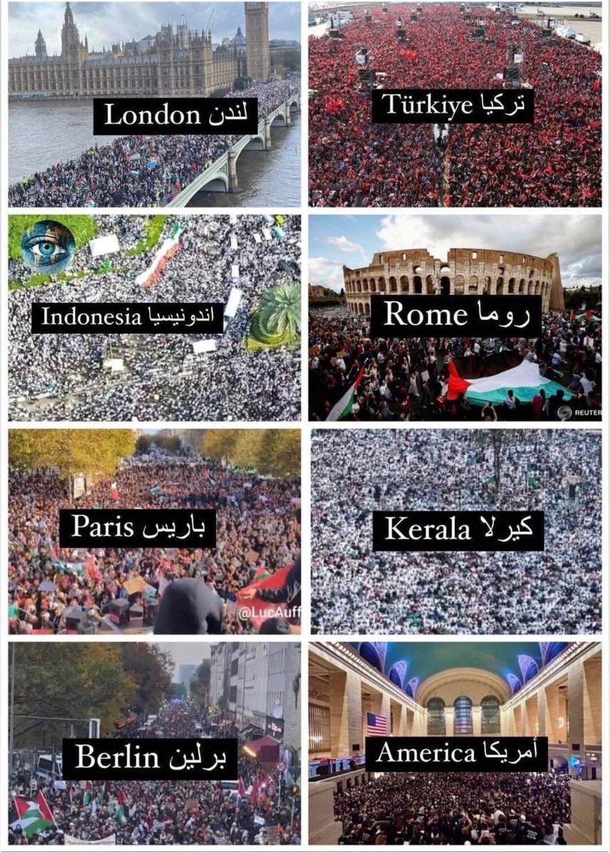 SprinterPress's tweet photo. The whole world stands next to Palestine! ✌️ https://t.co/K8kklJUxMk