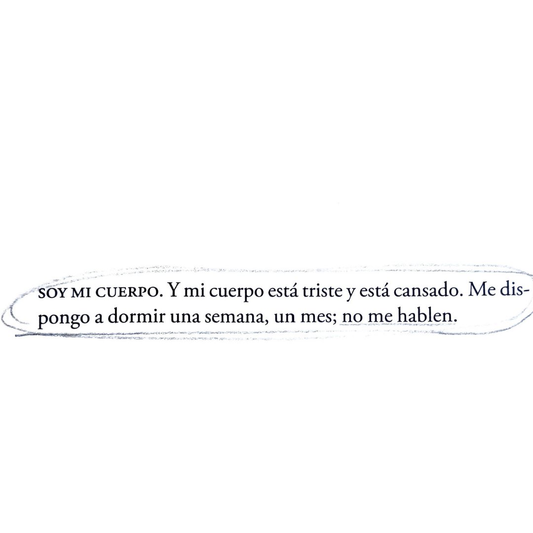 camila mermet tweet media