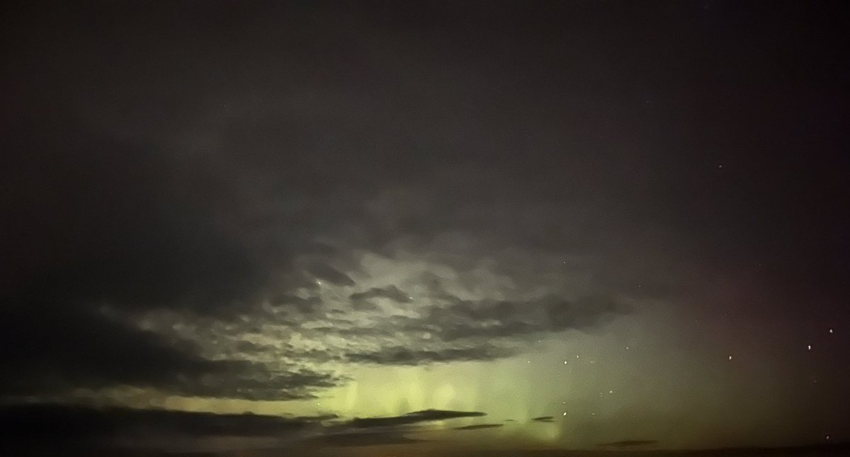 Michelle Beat tweet media