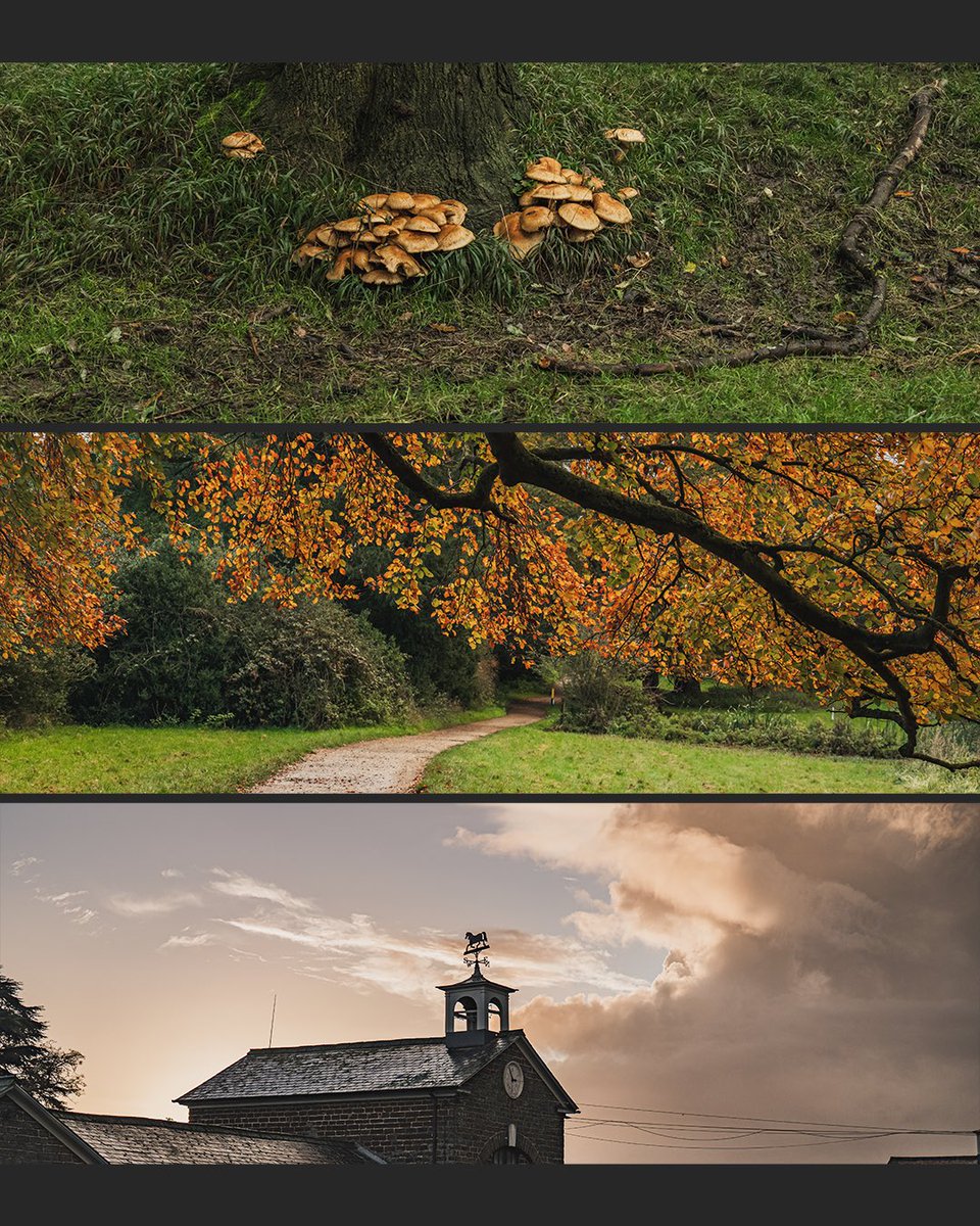 Something a bit different, my recent photos from yesterday’s walk around Woburn, all shot in camera on S5ii + Kit lends, using 65:24 crop and Real Time LUT <a href="/LumixUSA/">LUMIX Cameras USA</a>