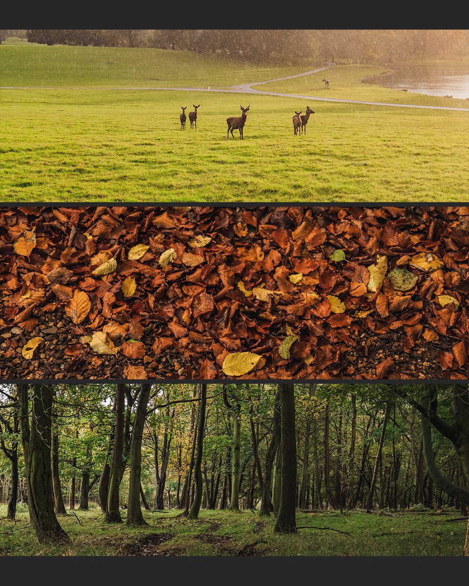 Pro Tharan tweet media