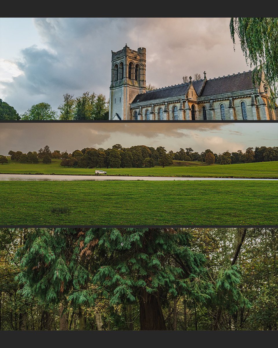 Pro Tharan tweet media