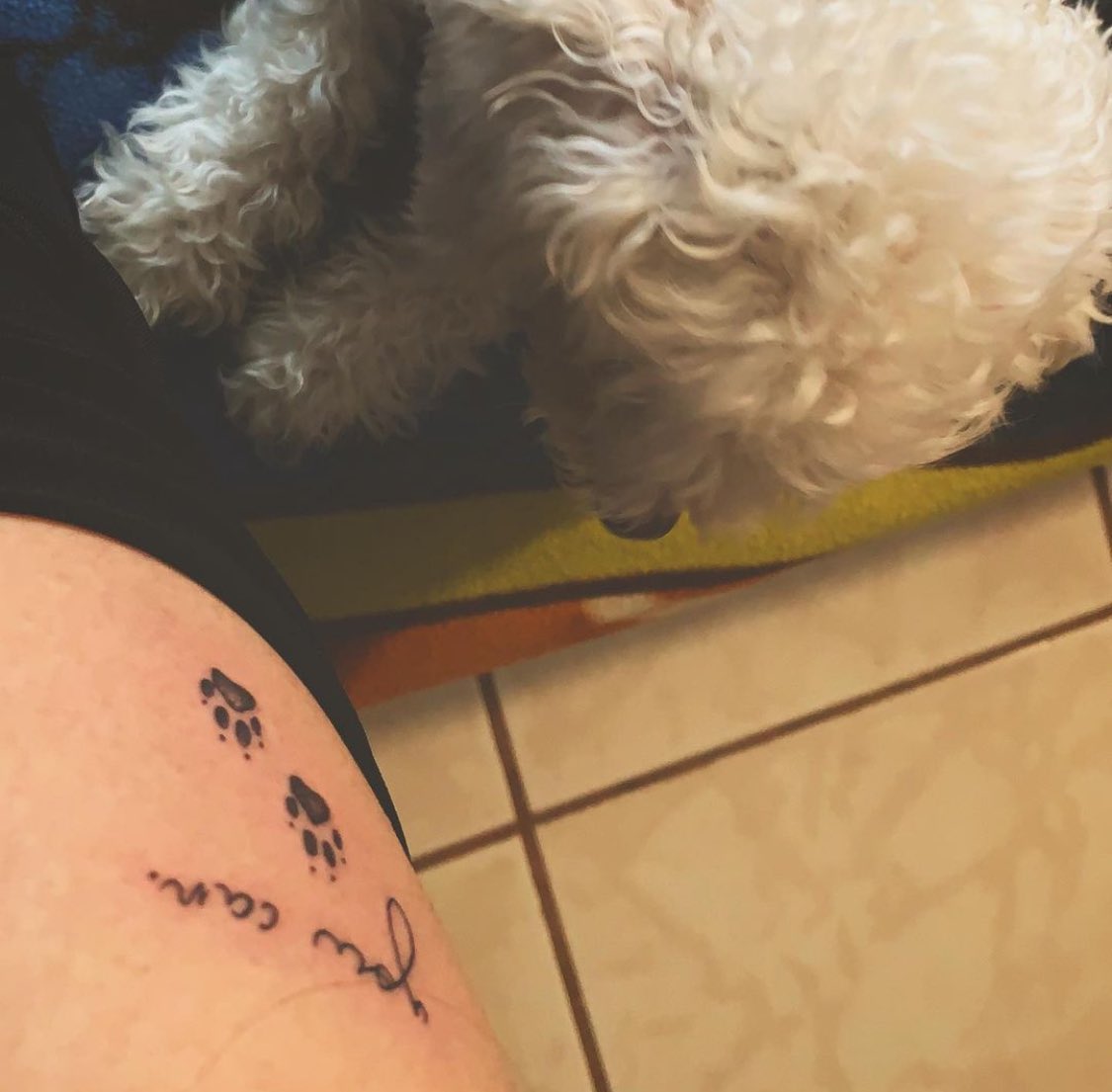 Ly| Nostalgia tweet media