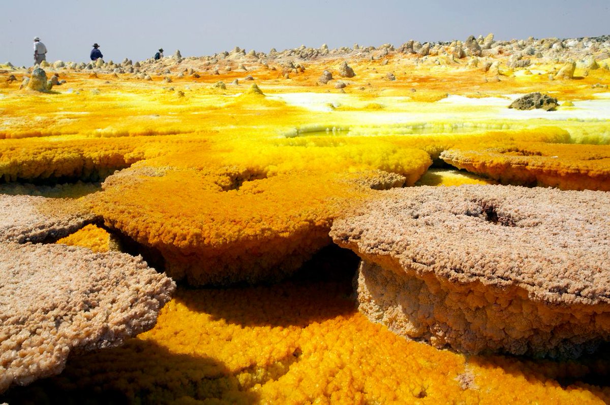 Exoticethiopian's tweet photo. Embark on a one-of-a-kind expedition to the Danakil, a geological marvel that will challenge your perception of reality. Marvel at the salt-encrusted terrain, ancient volcanoes, & the breathtaking spectacle of Dallol's technicolor hydrothermal pools.
#VisitAfar #VisitEthiopia https://t.co/lSU7sQBx16