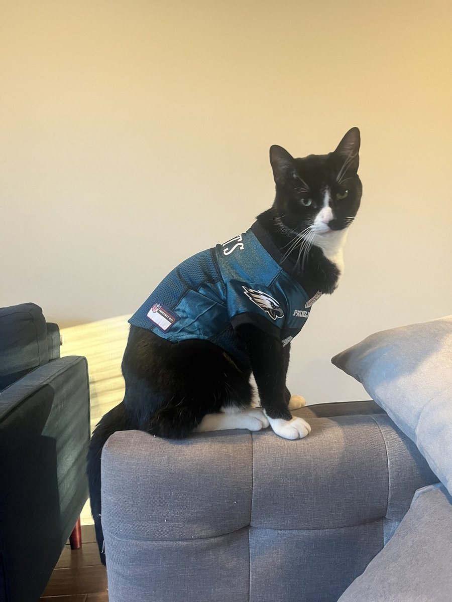 aceonpoint05's tweet photo. Tux says Eagles by 30 https://t.co/5AIicO1rhT