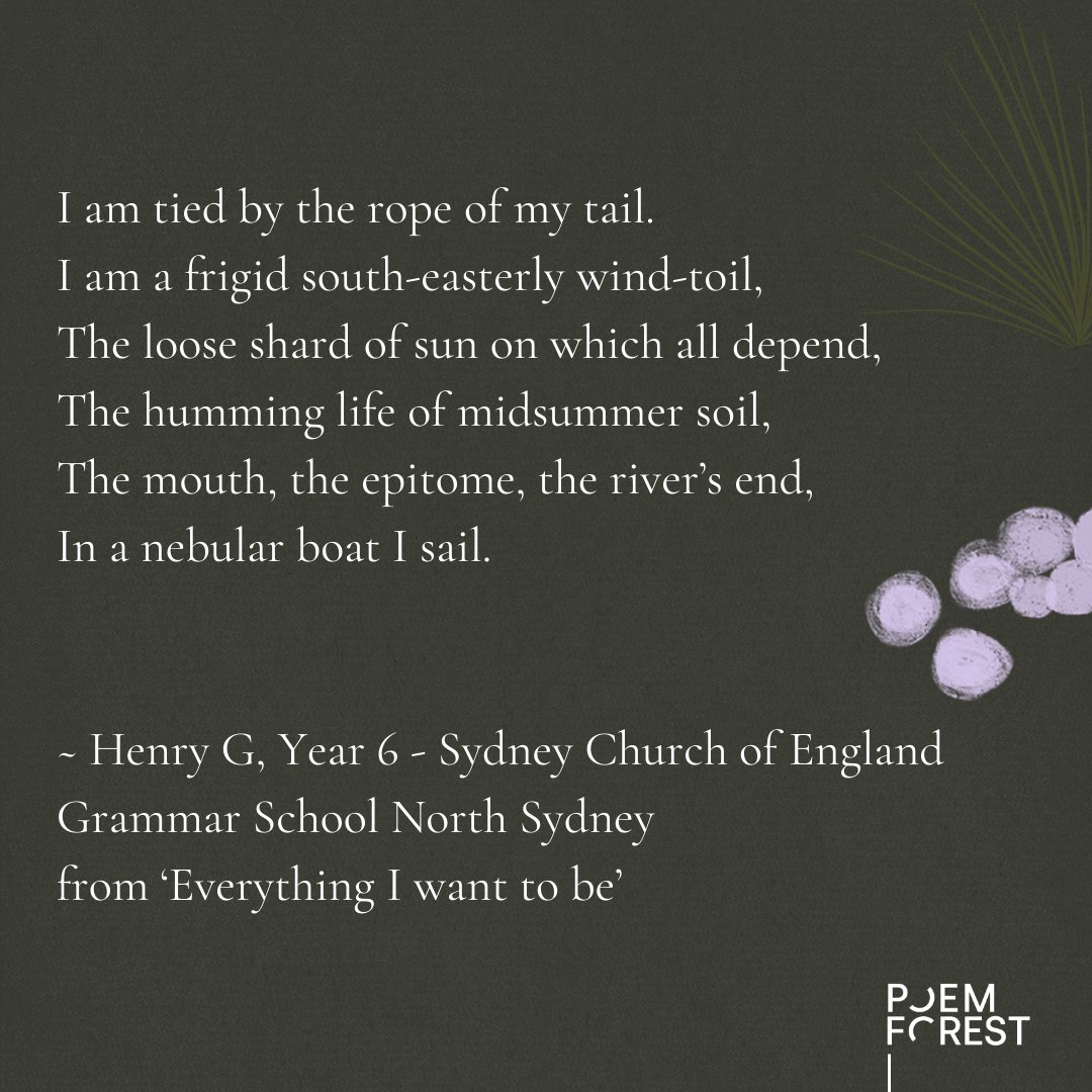 RedRoomPoetry's tweet photo. Read the flourishing #POEMFOREST shortlist of 84 outstanding poems from young people and teachers around the country and let yourself be transported to night-time beaches, the depths of forests recovering from bushfires and into the mind of a lyrebird: https://t.co/vusgGoJSMP https://t.co/wlvdk2OTH3
