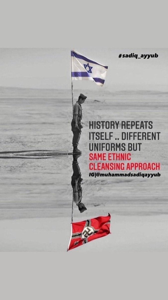 MIsimeli's tweet image. 