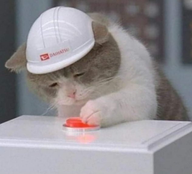 🤍또 바 기 🤍 tweet media