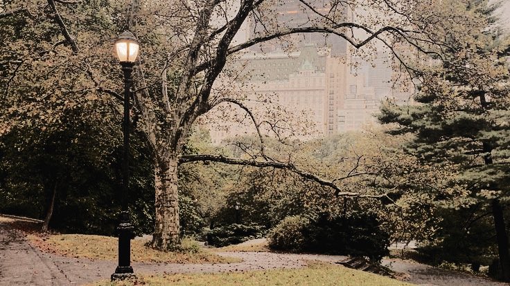 ㅤ 

Morning break consists of a quick stroll in the park and the cup of matcha I'm about to get. 

          ( 황. ) ┈─ written on 6 Nov 2023.
⠀⠀⠀
⠀