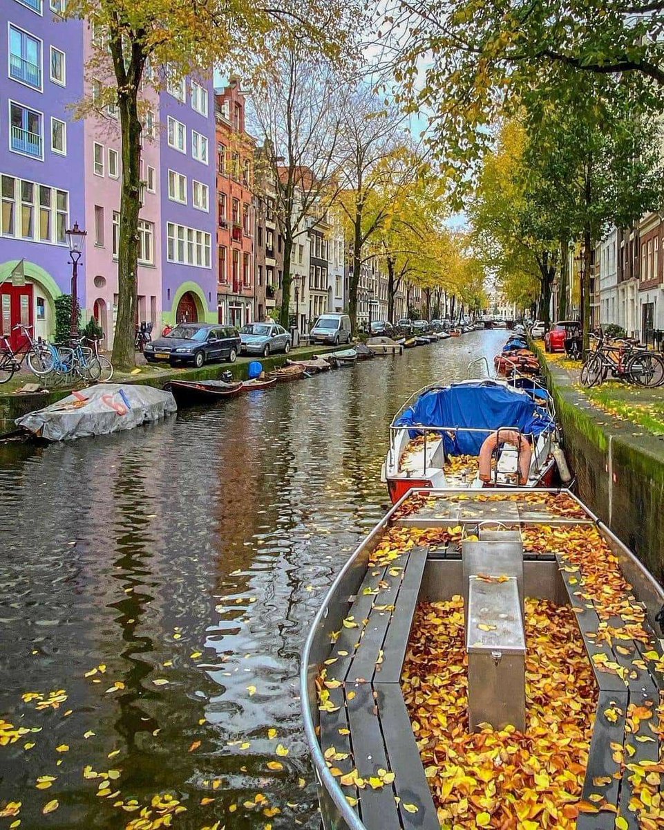 helena_mar19's tweet photo. Good Morning 
Happy New Week

(Amsterdam,📷Pinterest) https://t.co/g2egHLY6IY