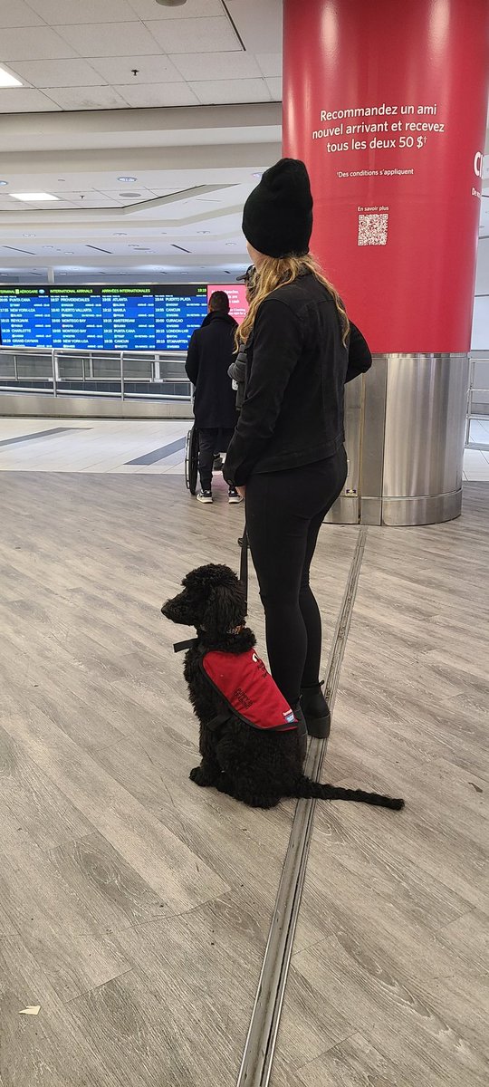 My wife trains autism service dogs. She was kicked out of <a href="/TorontoPearson/">Toronto Pearson</a> airport because they said that only dogs for the blind are allowed. 
#servicedog
#autism
#AutismAwareness