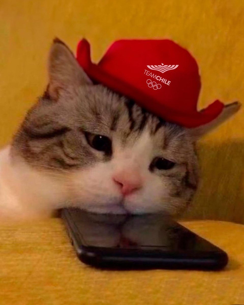 Team Chile tweet media