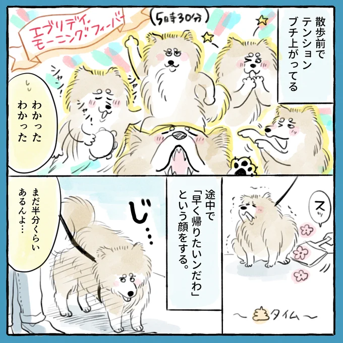 ～久々いぬ日記～ 人間の靴下がデェスキ