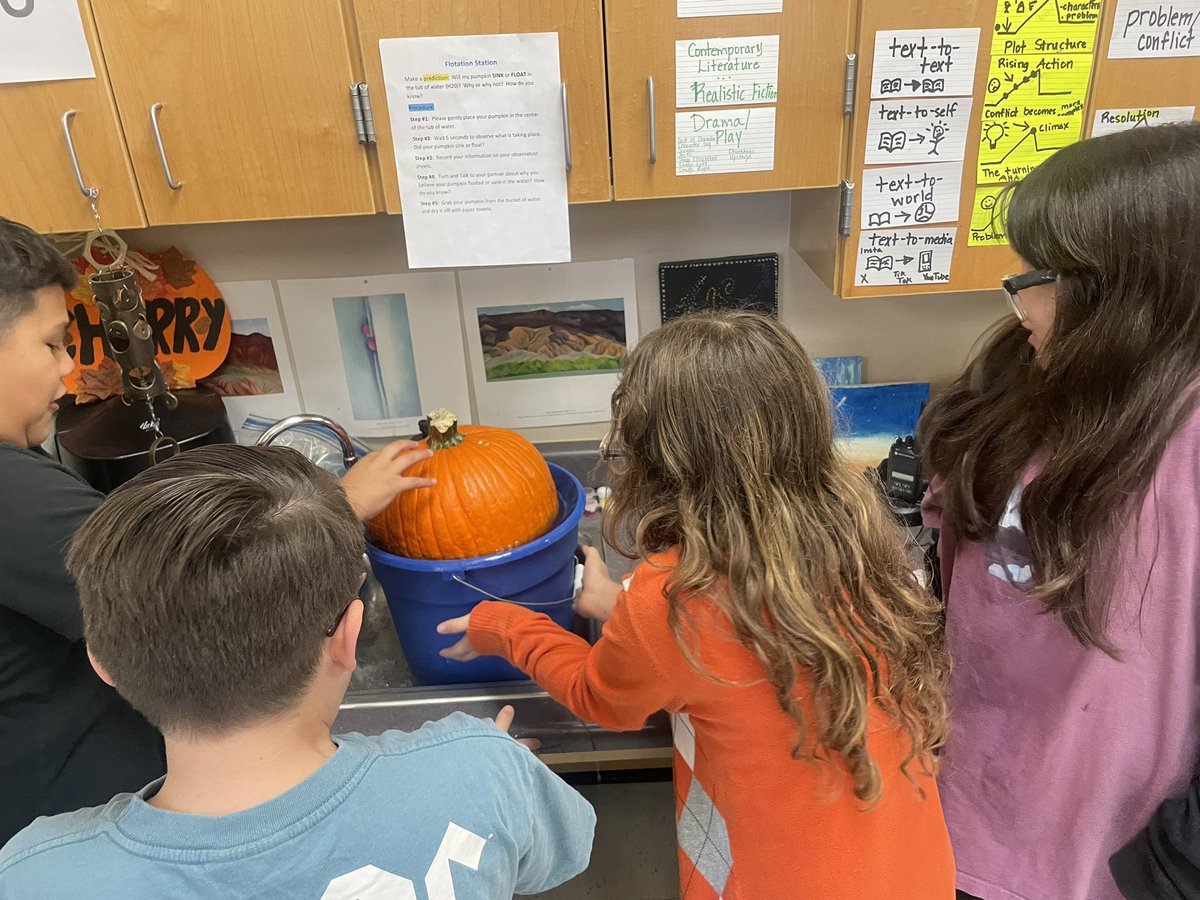 Cherry bomb’s practicing math and science though a Pumpkin Station Exploration project!  By the way, did you know that a synonym for the word stem is peduncle?!?!  <a href="/c_maldonado_1/">Candace Maldonado</a> <a href="/jchudej_garcia/">Jill Garcia</a> #meadowvillage #mve4thgraderocks