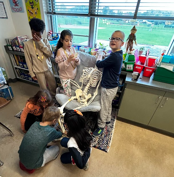 RickLapi's tweet image. Miss Bechtel&apos;s 2nd graders had a blast exploring bones with Merge Cubes, a full-body skeleton, animal bones, Easi-scopes, and the Curiscope Virtuali-Tee. #mifflinsd #TExpL @GovMifflinSD