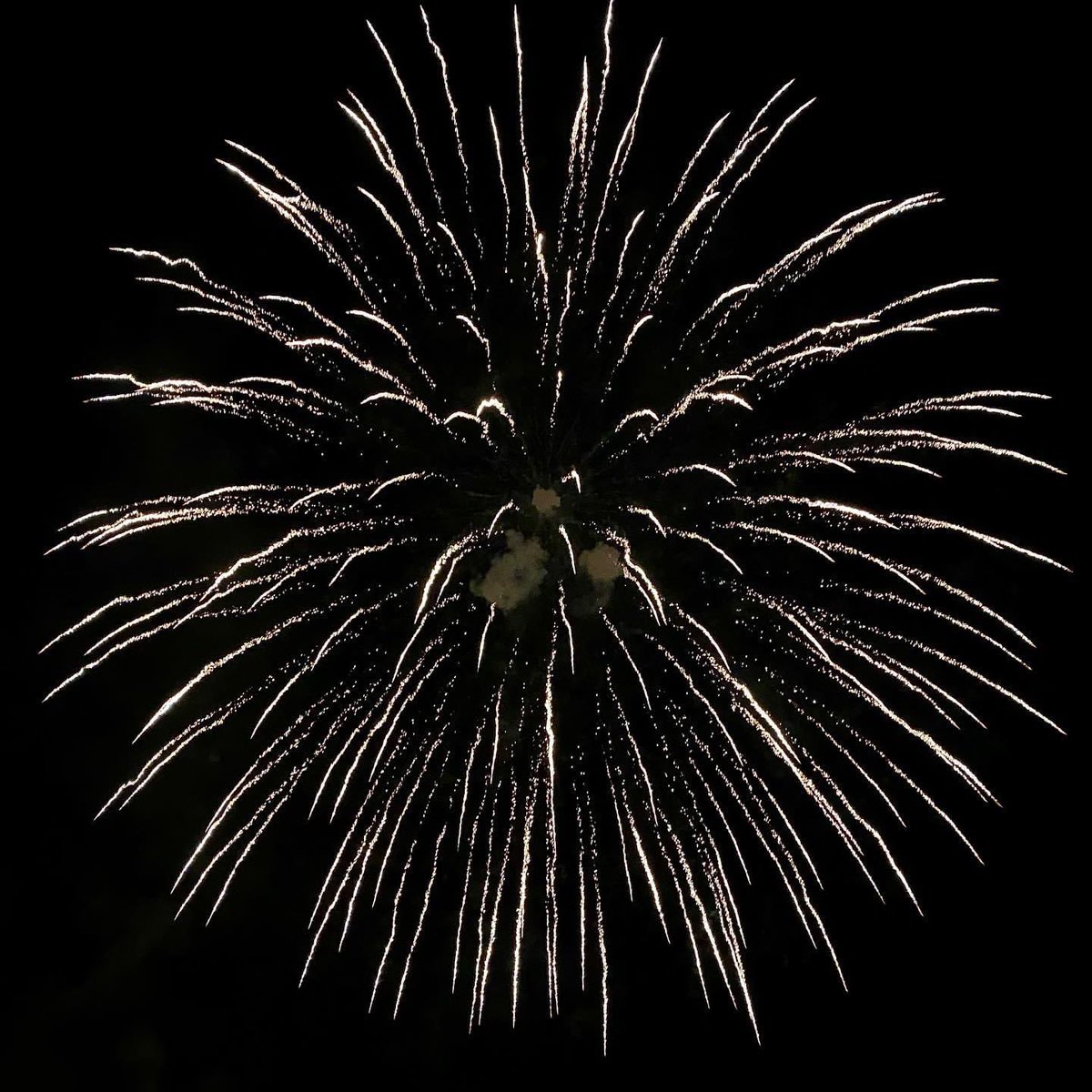 IWTRotary tweet media