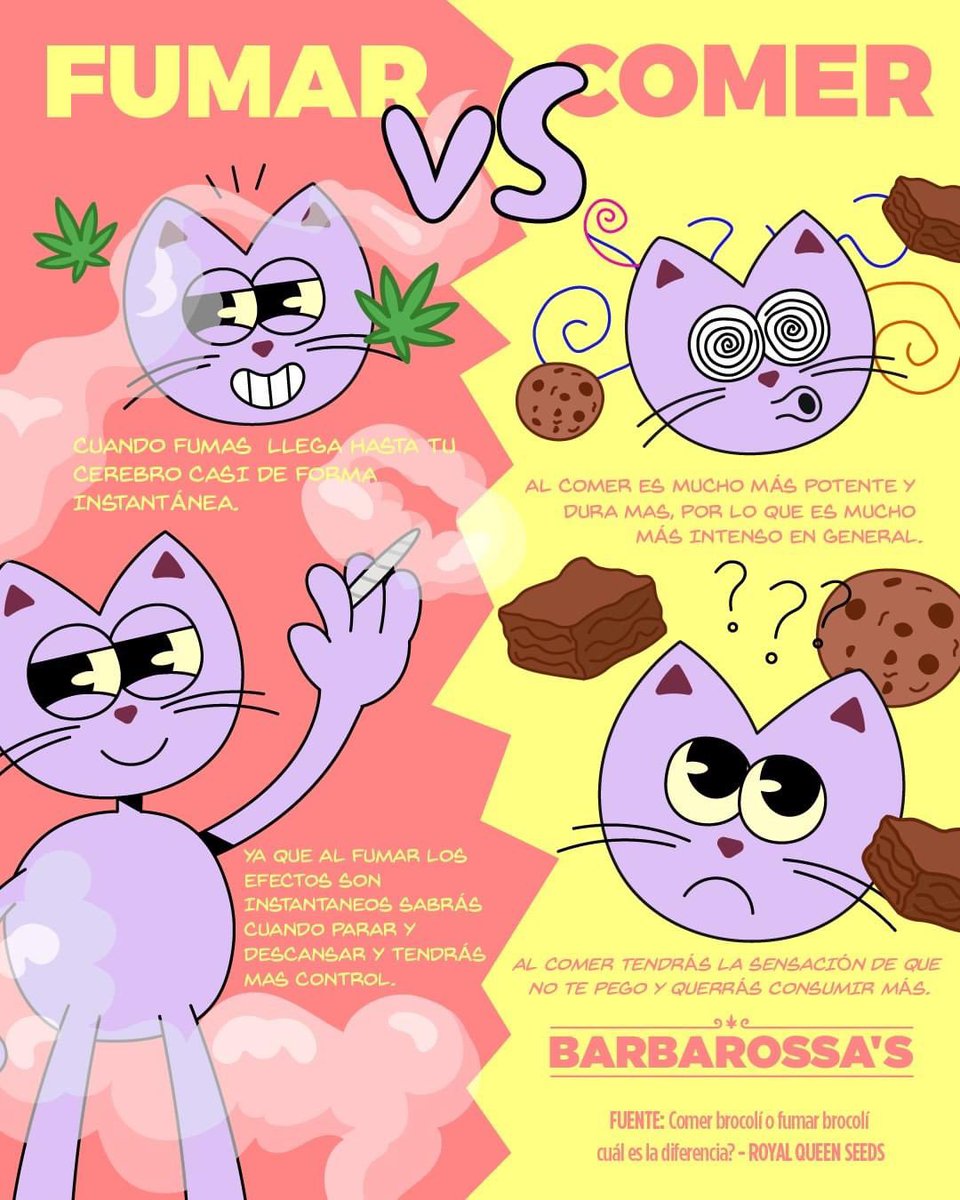 BarbaRossas1's tweet photo. ¿Fumar o comer? Esa es la cuestión cuando se trata de disfrutar del brócoli. ¡Escoge tu camino, pero hazlo con conocimiento! 🌿🍪 https://t.co/zWYqwDZeW2