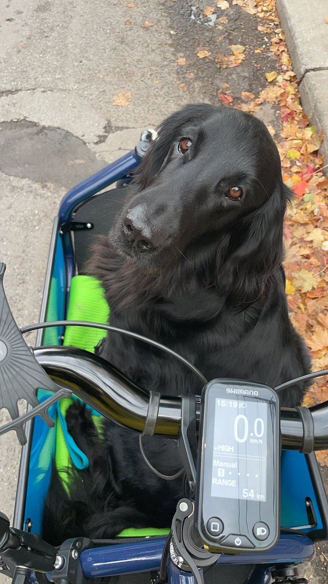 Robin Richardson she/her 🚲 (@canadarobin) on Twitter photo Abby and I were thrilled to ride with over 200 other cyclists to say “Thank you!” to <a href="/CllrAmberMorley/">Amber Morley</a>, <a href="/oliviachow/">Olivia Chow</a>, <a href="/DianneSaxe/">Dianne Saxe - Toronto City Council Ward 11, UR</a>, <a href="/TO_Cycling_Ped/">Toronto Cycling and Pedestrian Projects</a>, <a href="/BikewaysTO/">Community Bikeways - TCBC</a>, <a href="/CycleToronto/">Cycle Toronto</a> and everyone else who worked so hard to bring a safe and complete street to Bloor West! 🎉🥳👏 Abby and I were thrilled to ride with over 200 other cyclists to say “Thank you!” to <a href="/CllrAmberMorley/">Amber Morley</a>, <a href="/oliviachow/">Olivia Chow</a>, <a href="/DianneSaxe/">Dianne Saxe - Toronto City Council Ward 11, UR</a>, <a href="/TO_Cycling_Ped/">Toronto Cycling and Pedestrian Projects</a>, <a href="/BikewaysTO/">Community Bikeways - TCBC</a>, <a href="/CycleToronto/">Cycle Toronto</a> and everyone else who worked so hard to bring a safe and complete street to Bloor West! 🎉🥳👏