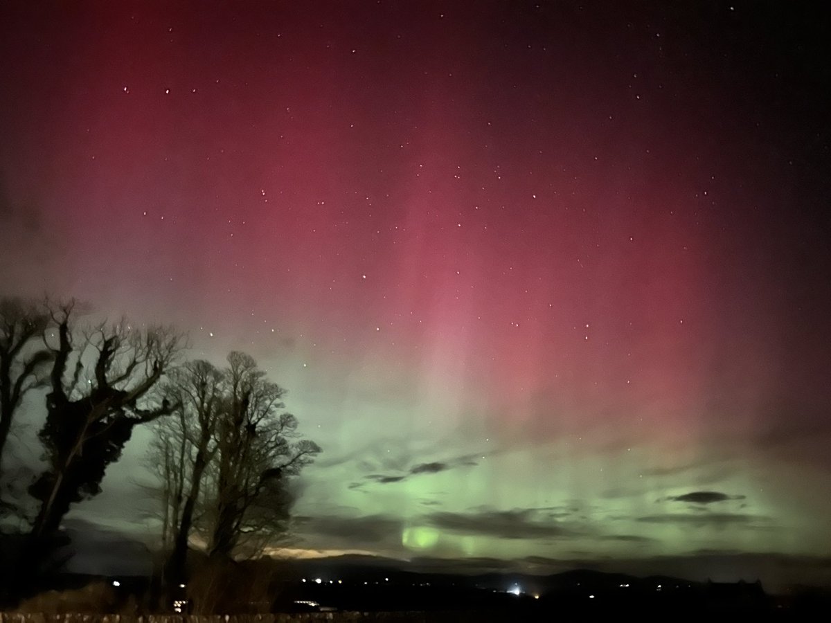 Amazing Aurora at the moment over the Machars, no filter and just taken on my iPhone, 10 second exposure on night setting. 🤩