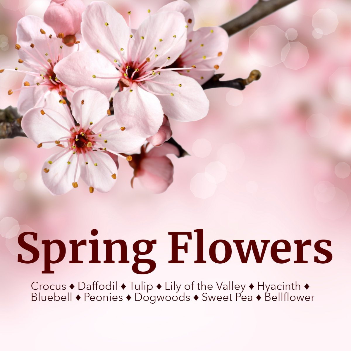 somdforsale's tweet photo. 🌺🌷🌸After a long, dark winter with plenty of grays and browns, we're ready for some spring color!🌸🌷🌺

#byebyewinter #colorful #spring #springtime #springbreak #springflowers https://t.co/f5sVpYTaWL