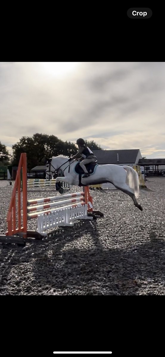 katebetteridge's tweet photo. A great but very early morning @NSEAEst1991 showjumping at Epworth Equestrian representing @PockPrep The team won the 80cm class! With a zero score. Oliver was 6th individual out of 48, and also 2nd individual in the 70cm out of 30. #teamwork #pocklingtonprep #makingmemories https://t.co/Z9yiPossku