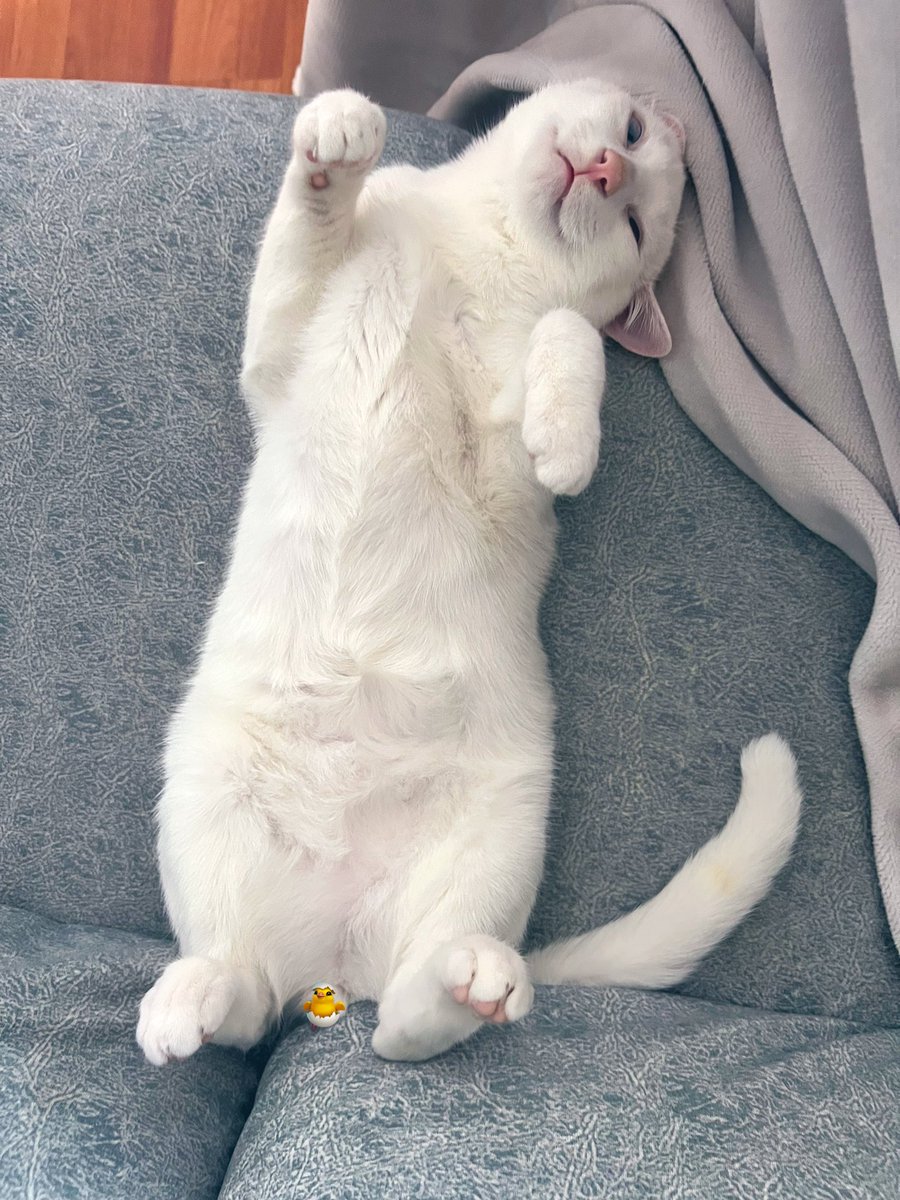 😴