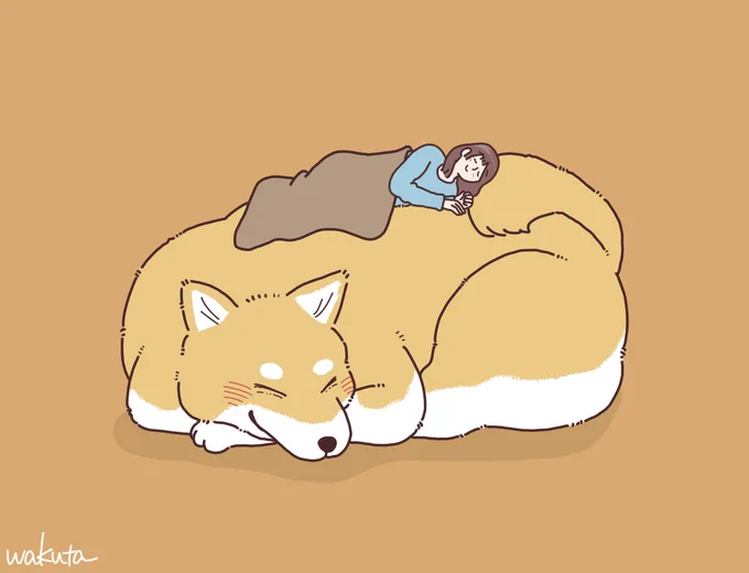 ベッドが柴犬だった場合。 #柴犬の場合 