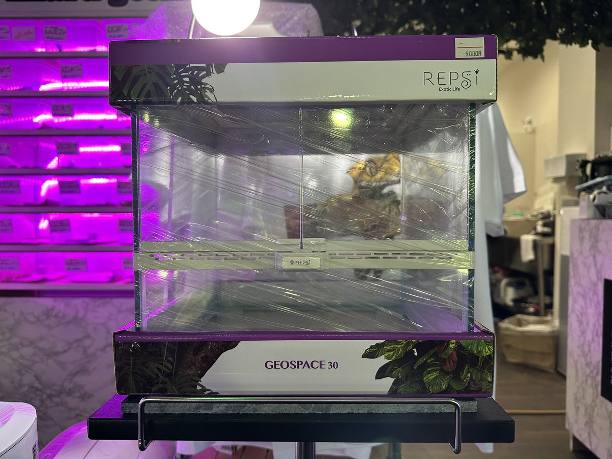 Reptyhouse's tweet photo. 道民の皆様に愛情還元！！
プレゼントキャンペーン実施中

Repty house（レプティーハウス）では
オープン日である6日に
毎月Repty houseファン感謝DAYとし
毎月誰かにプレゼントが当たるキャンペーンを行います。

応募資格はRepty houseフォロー&amp;プレキャンツイートコメント欄に🦎を貼るだけ！！
☟ https://t.co/W9MgyocXGp